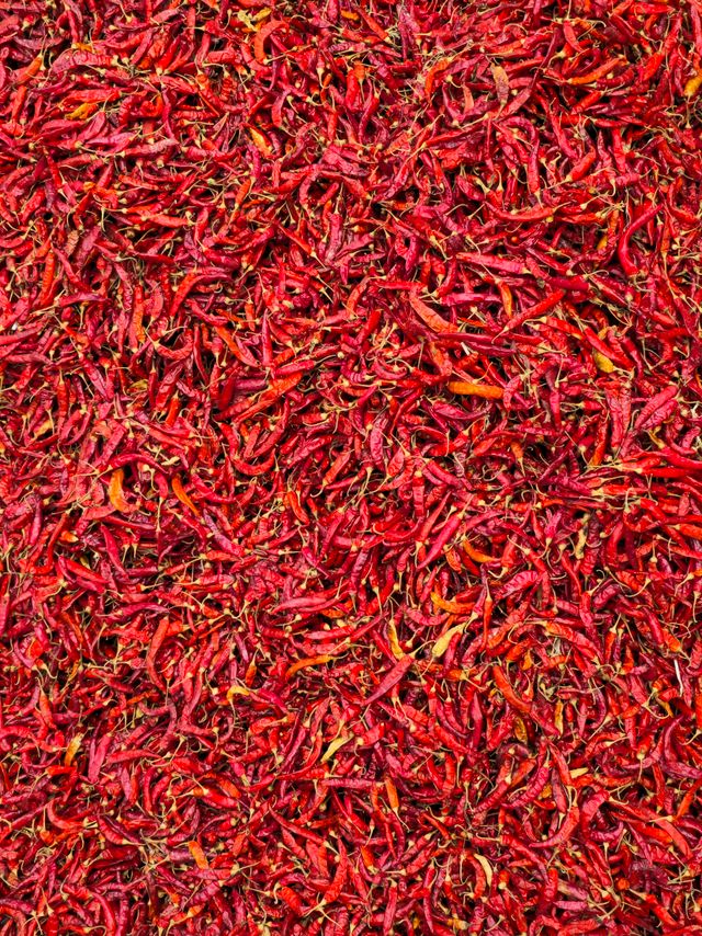 Teja Chilli (Dry)